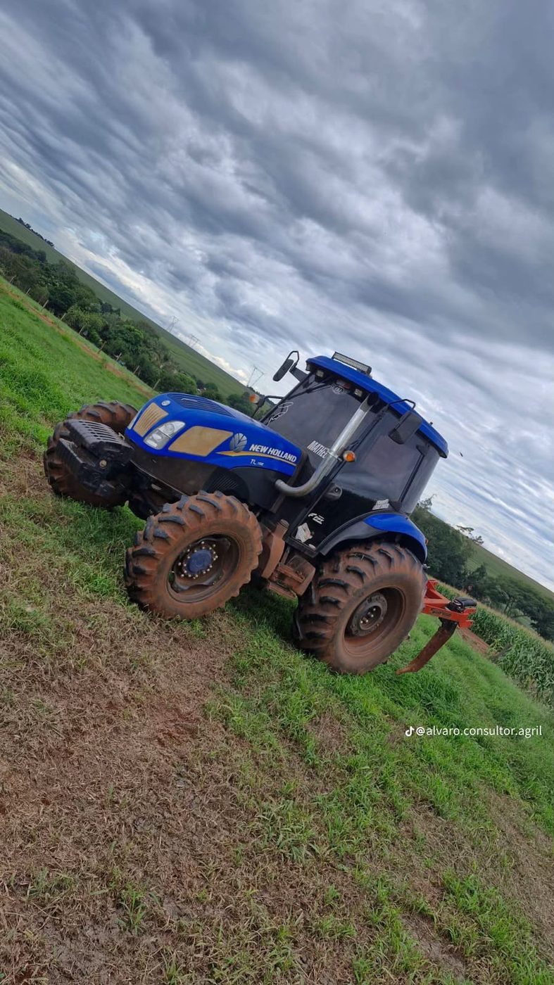 Haste com desarme no trabalho, foto 6